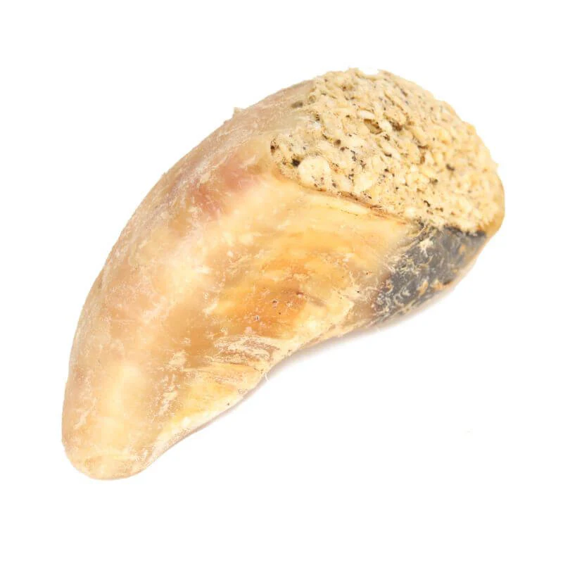 Tuotekuva 1
