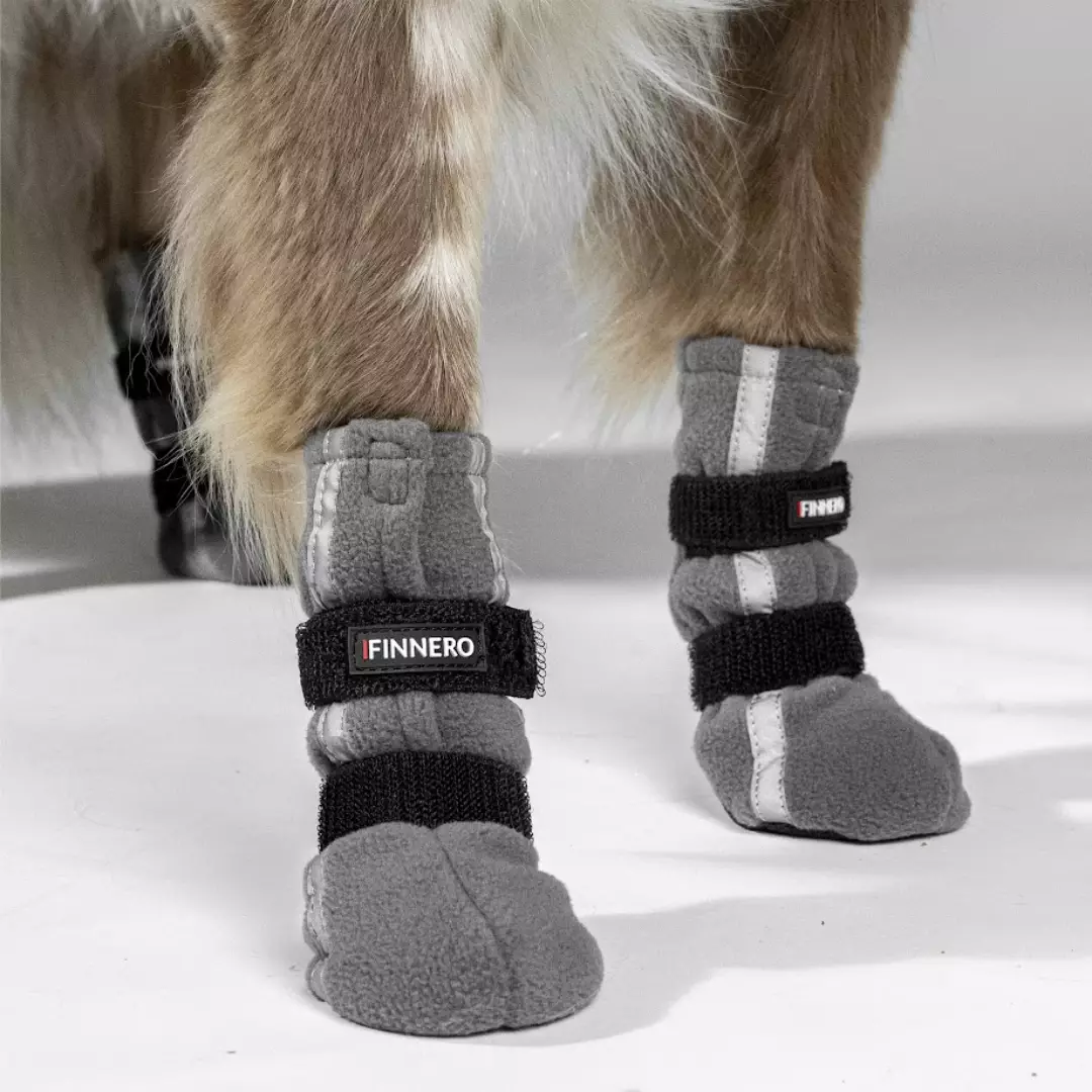 Pikkukuva 2