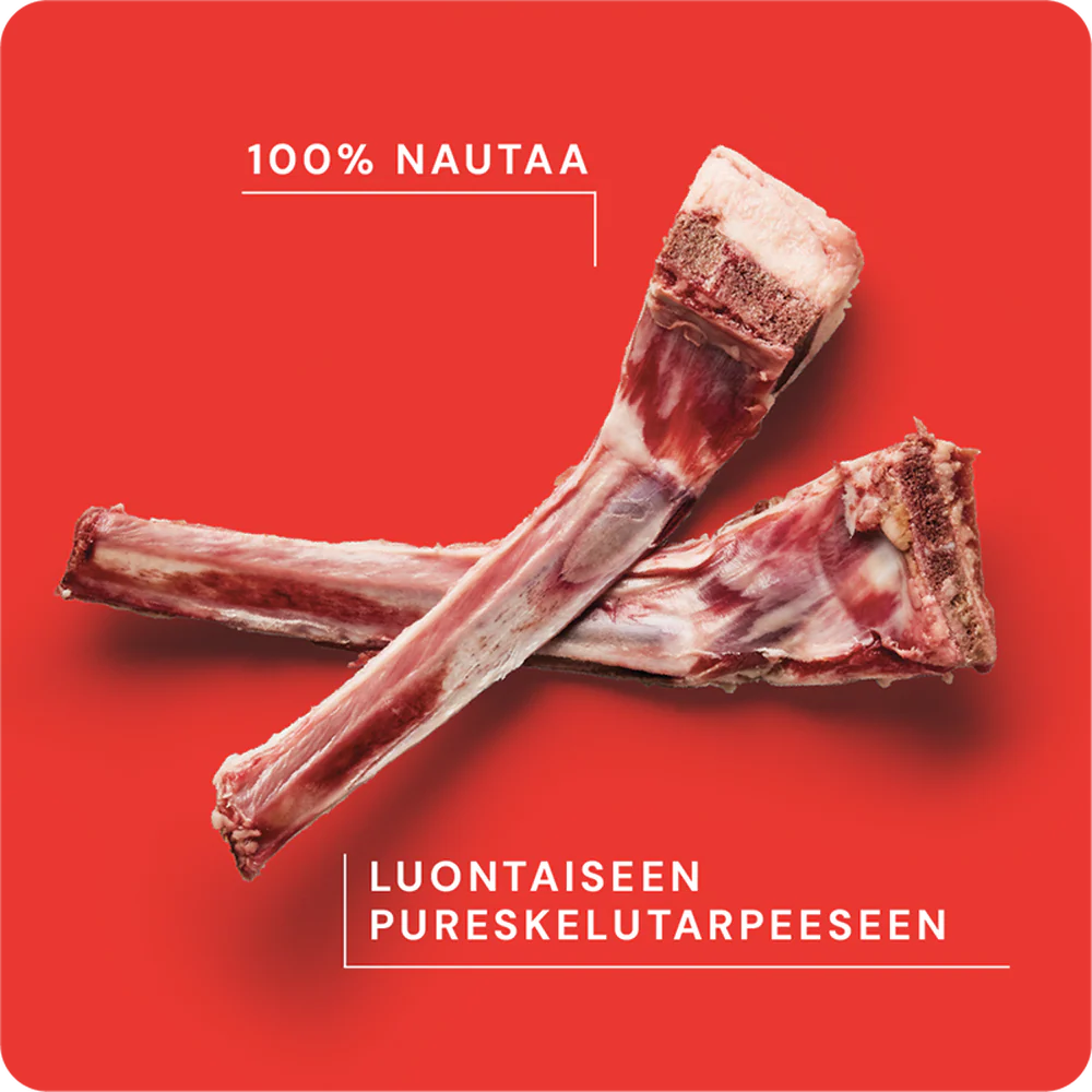 Tuotekuva 2